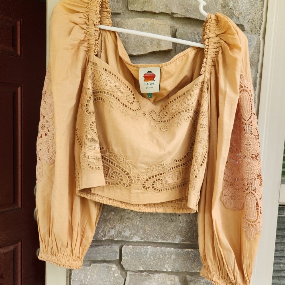 FARM Rio Peach Embroidered Blouse - Picture 5 of 11